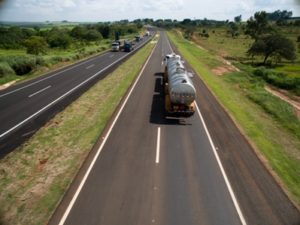 Parceria entre CCR MSVia e Imasul deve garantir segurança aos animais silvestres na Rodovia BR-163 em Mato Grosso do Sul – Foto: Rachid Waqued