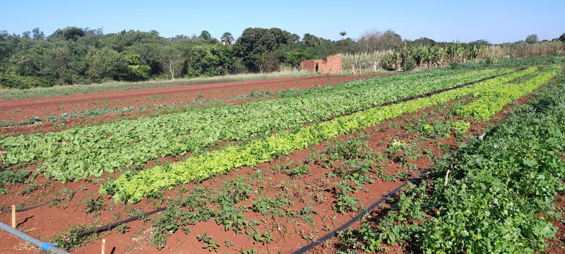 Cooperação inovadora garante biofertilizante orgânico para agricultores familiares de MS