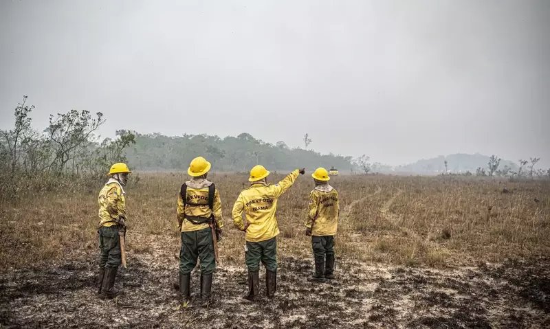 Brigadistas do Prevfogo/Ibama e ICMBio