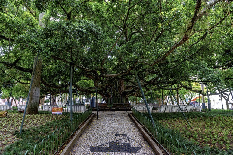 Florianópolis